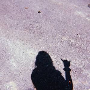 Meet your Posher, Avie